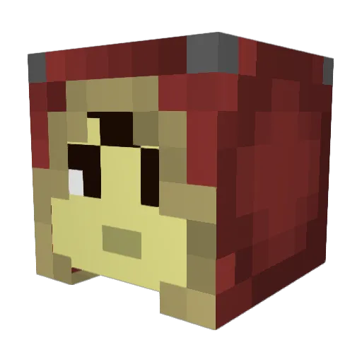 Shadowball134 Minecraft avatar head, 3D render