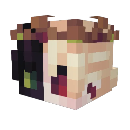 Shadowblade222 Minecraft avatar head, 3D render