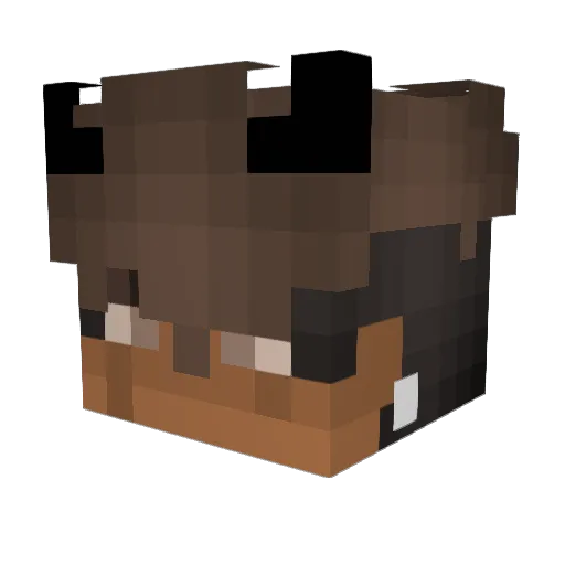 Shadowbloom24 Minecraft avatar head, 3D render