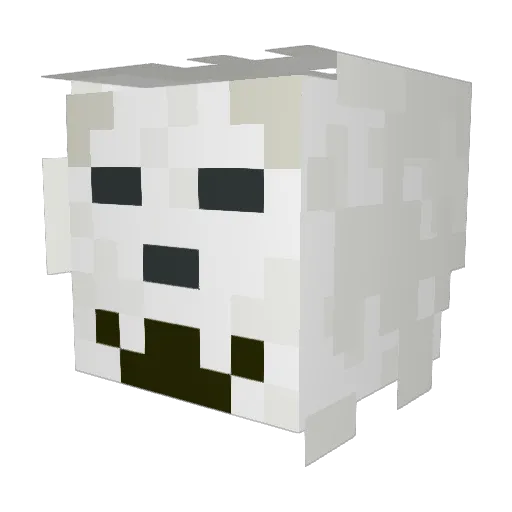 Shadowbringer17 Minecraft avatar head, 3D render