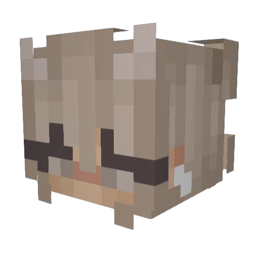 Shadowcadet0 Minecraft avatar head, 3D render