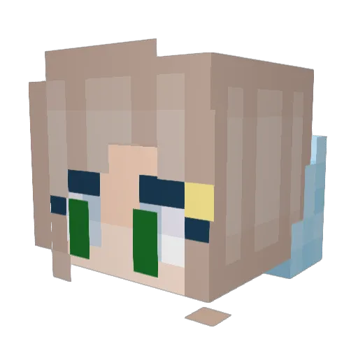 Shadowcat417 Minecraft avatar head, 3D render