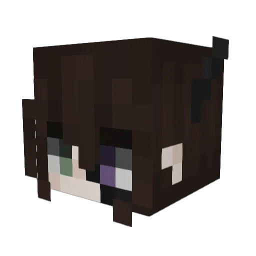 Shadowcat8 Minecraft avatar head, 3D render