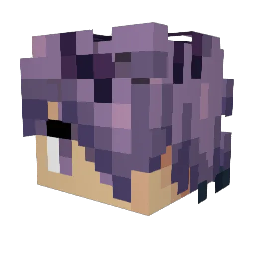 Shadowdragon403 Minecraft avatar head, 3D render