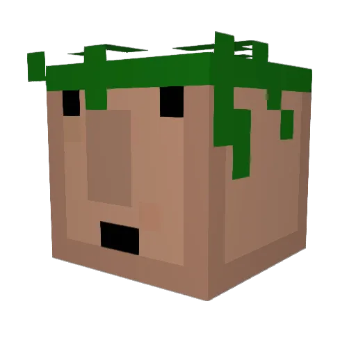 Shadoweave Minecraft avatar head, 3D render