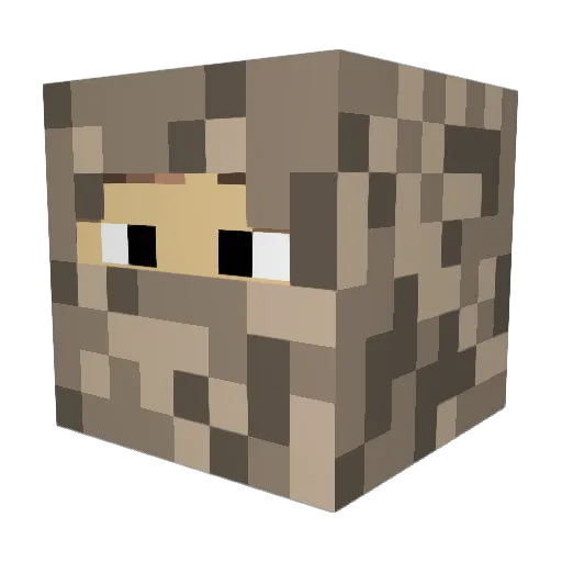 ShadowedChicken Minecraft avatar head, 3D render