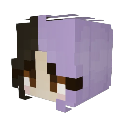 Shadowedkayla Minecraft avatar head, 3D render