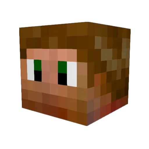 Shadowfax00 Minecraft avatar head, 3D render
