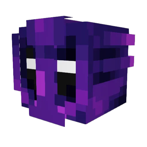 Shadowfightero Minecraft avatar head, 3D render
