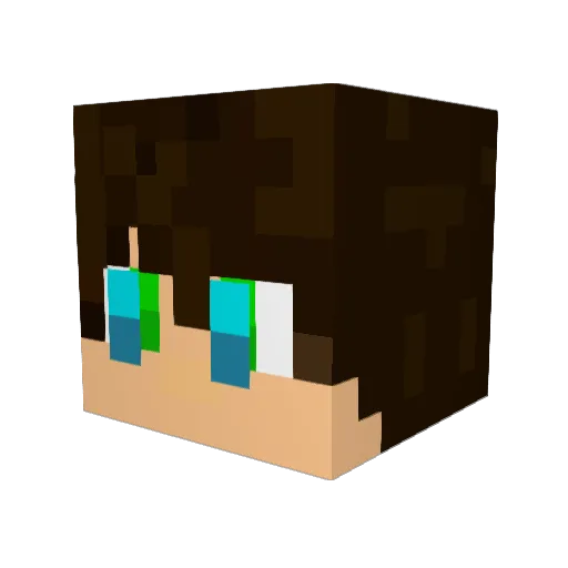 Shadowgamer71 Minecraft avatar head, 3D render