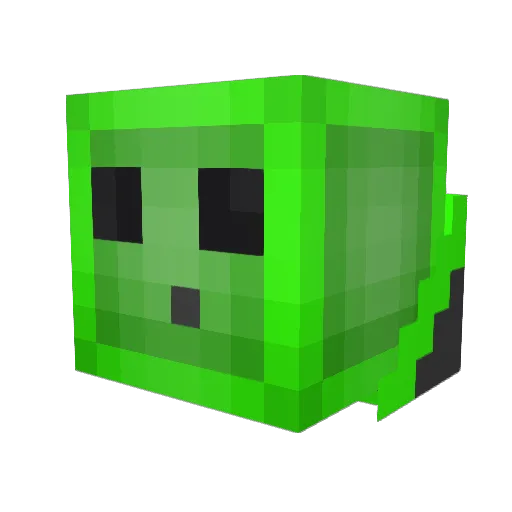 Shadowgamer_2453 Minecraft avatar head, 3D render