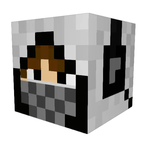 Shadowgaming2003 Minecraft avatar head, 3D render