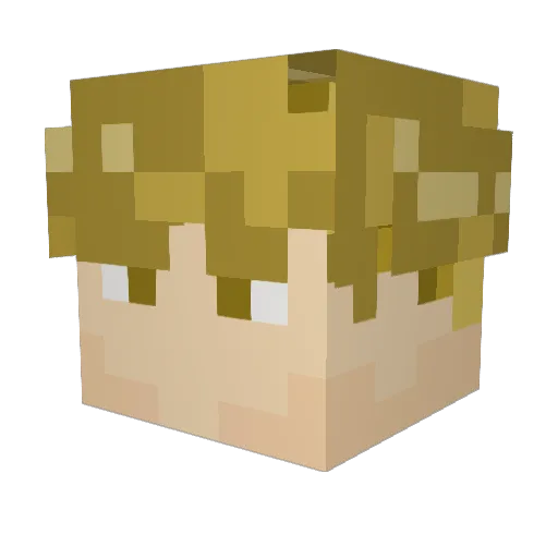 Shadowgaming706 Minecraft avatar head, 3D render