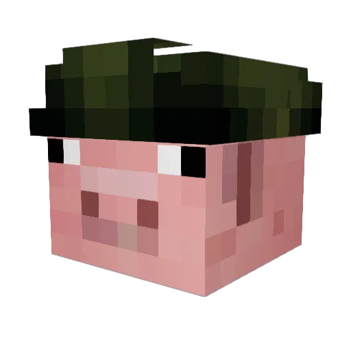 Shadowghost135 Minecraft avatar head, 3D render
