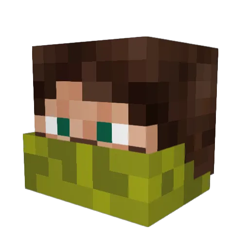 Shadowhun73r Minecraft avatar head, 3D render