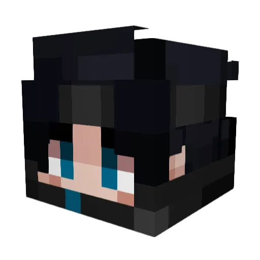 Shadowhunter_UA Minecraft avatar head, 3D render