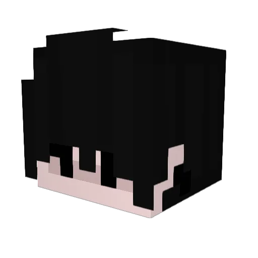 Shadowigor Minecraft avatar head, 3D render