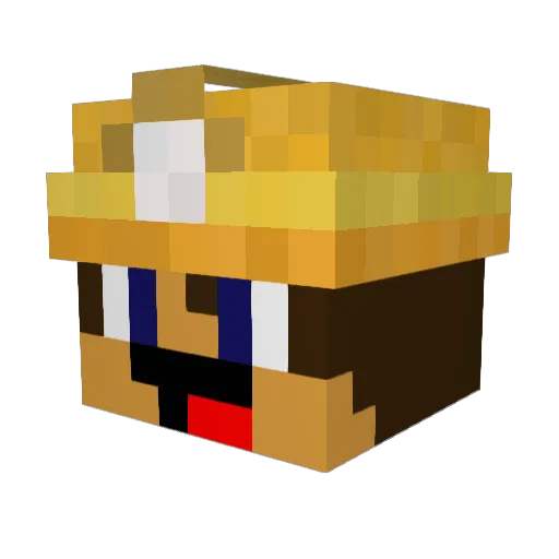 Shadowinx Minecraft avatar head, 3D render