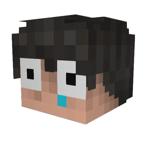 Shadowitoxd Minecraft avatar head, 3D render