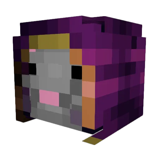 Shadowketr Minecraft avatar head, 3D render