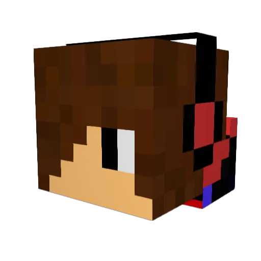 Shadowking64 Minecraft avatar head, 3D render