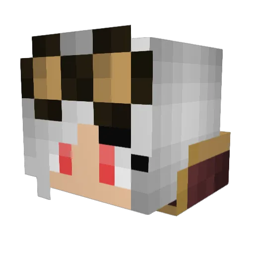 Shadowlady20 Minecraft avatar head, 3D render