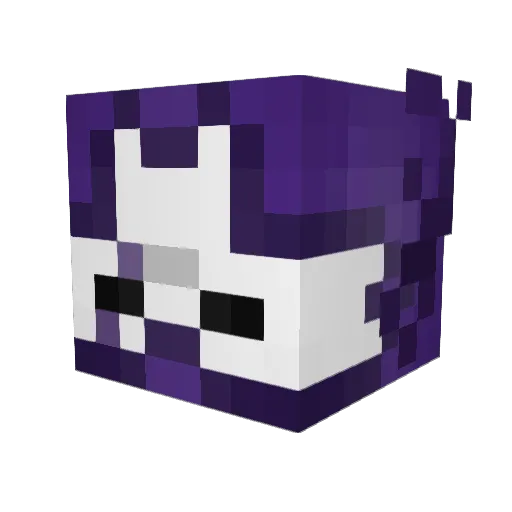 Shadowlink1560 Minecraft avatar head, 3D render