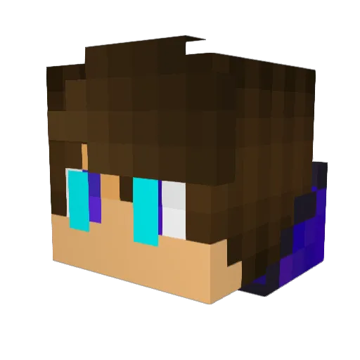 Shadowlynet Minecraft avatar head, 3D render