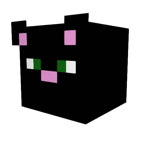 Shadowmaster2015 Minecraft avatar head, 3D render