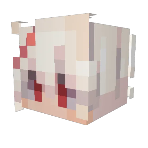 Shadowmasters79 Minecraft avatar head, 3D render