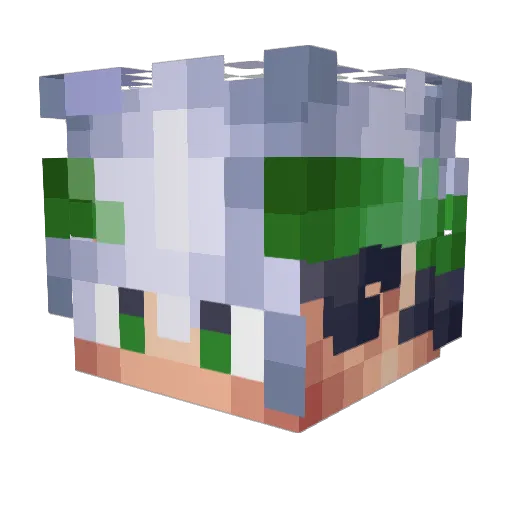 Shadowmate99 Minecraft avatar head, 3D render