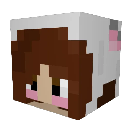 Shadowminer69 Minecraft avatar head, 3D render