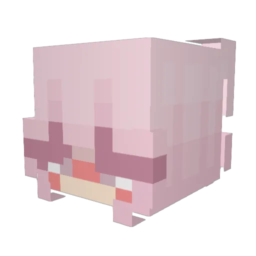 Shadowminx23 Minecraft avatar head, 3D render