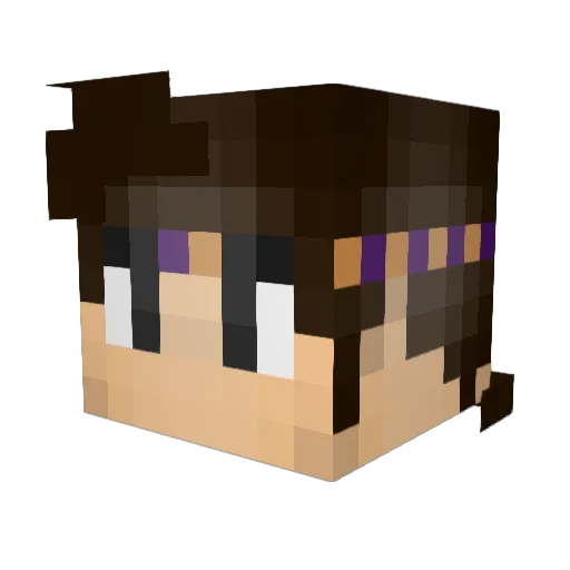 Shadowneutron Minecraft avatar head, 3D render