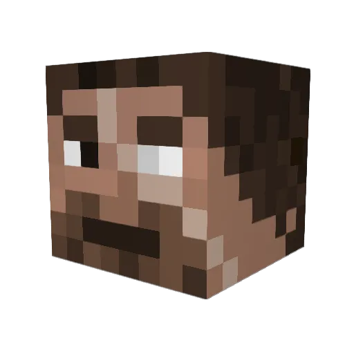 Shadowplayer_ Minecraft avatar head, 3D render