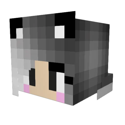 Shadowrawr666 Minecraft avatar head, 3D render