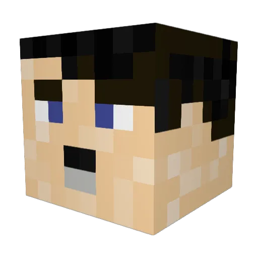 Shadowreacon8 Minecraft avatar head, 3D render