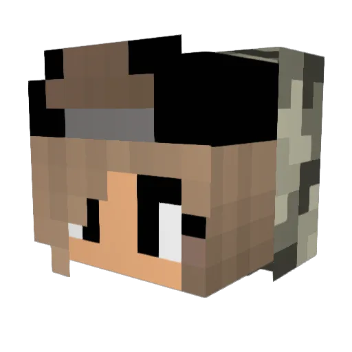 Shadowrox720 Minecraft avatar head, 3D render