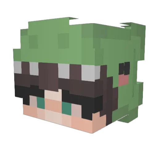 Shadows1180 Minecraft avatar head, 3D render