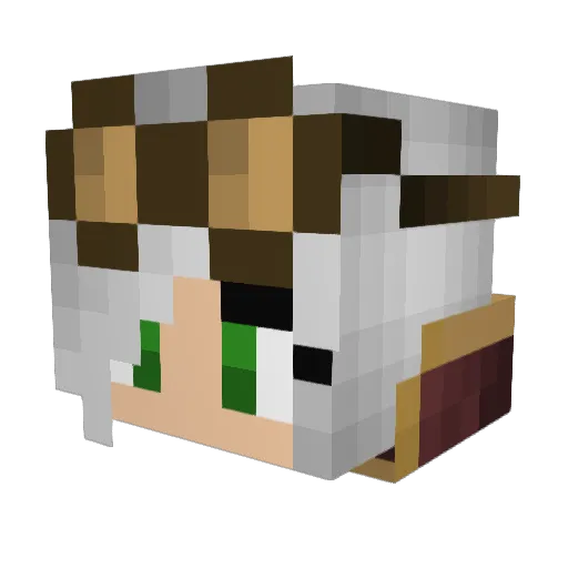 ShadowsGrimm Minecraft avatar head, 3D render