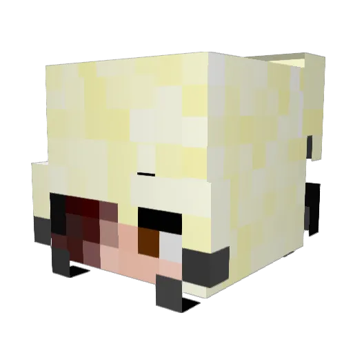 ShadowsKarma Minecraft avatar head, 3D render