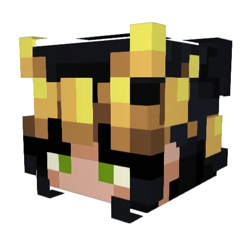 Shadows_of_Raven Minecraft avatar head, 3D render