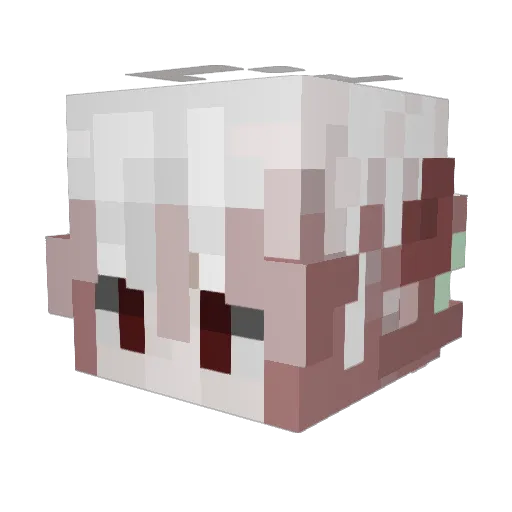 Shadowshift23 Minecraft avatar head, 3D render