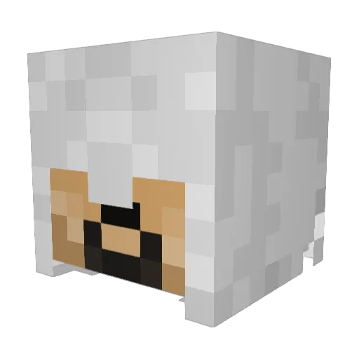 Shadowsjit Minecraft avatar head, 3D render