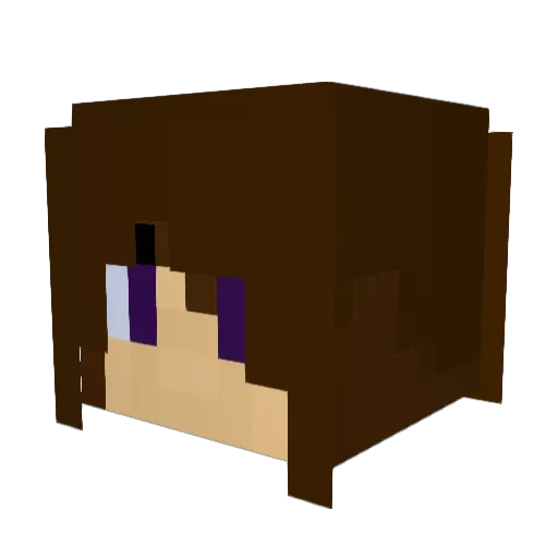 Shadowsleek Minecraft avatar head, 3D render