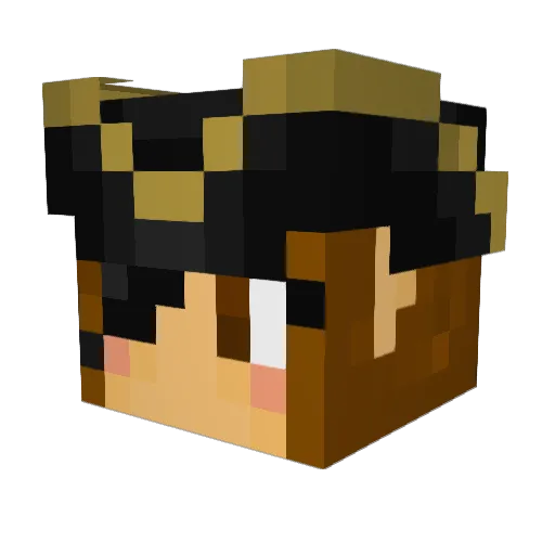 Shadowspirit96 Minecraft avatar head, 3D render