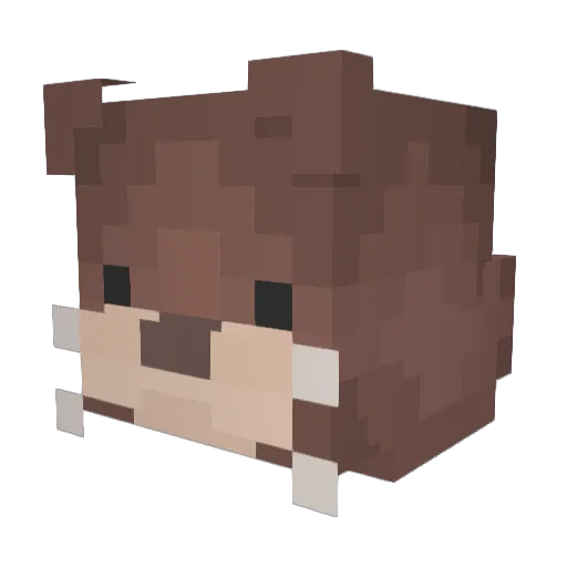 ShadowstarXY Minecraft avatar head, 3D render