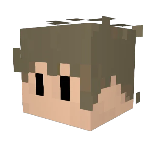 Shadowtiger500 Minecraft avatar head, 3D render