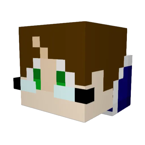 Shadowtrunks1128 Minecraft avatar head, 3D render