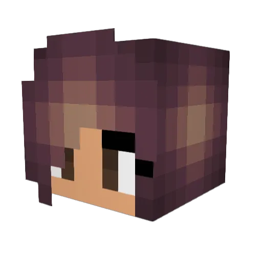 Shadowunder Minecraft avatar head, 3D render